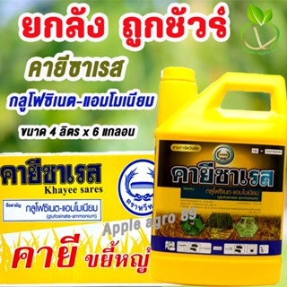 🎁ยกลัง ถูกชัวร์ คายีซาเรส กลูโฟซิเนต หวีทอง  ขนาด 4 ลิตร x 6…