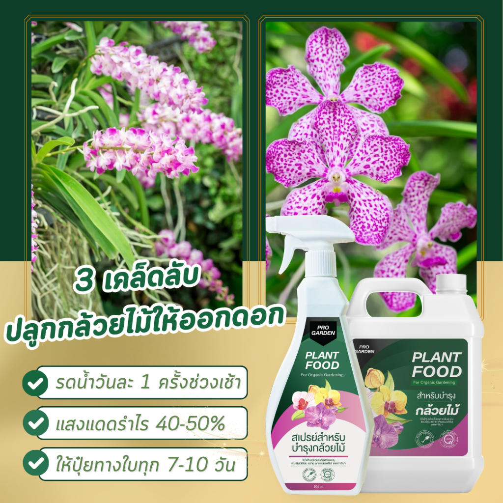 Pro Garden บำรุงกล้วยไม้ (สเปรย์+แกลอน) เพิ่มช่อดอก ขยายช่อดอก ดอกดก บานทน ต้นแข็งแรงออร์แกนิค