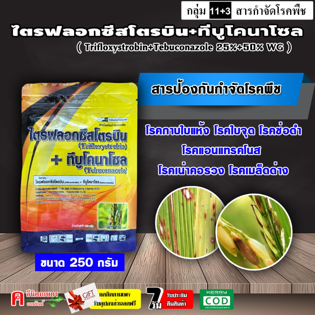 ไตรฟลอกซีสโตรบิน+ทีบูโคนาโซล ( ขนาด 250 กรัม ) ตัวเดียวกับ นาติโว 75 สารป้องกันและกำจัดโรคพืช คอรวงแห้ง ใบไหม้ โรคดอกกระ