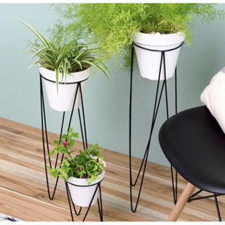 ขาตั้งเหมาะกับกระถาง 8-10-12 นิ้วเท่านั้น