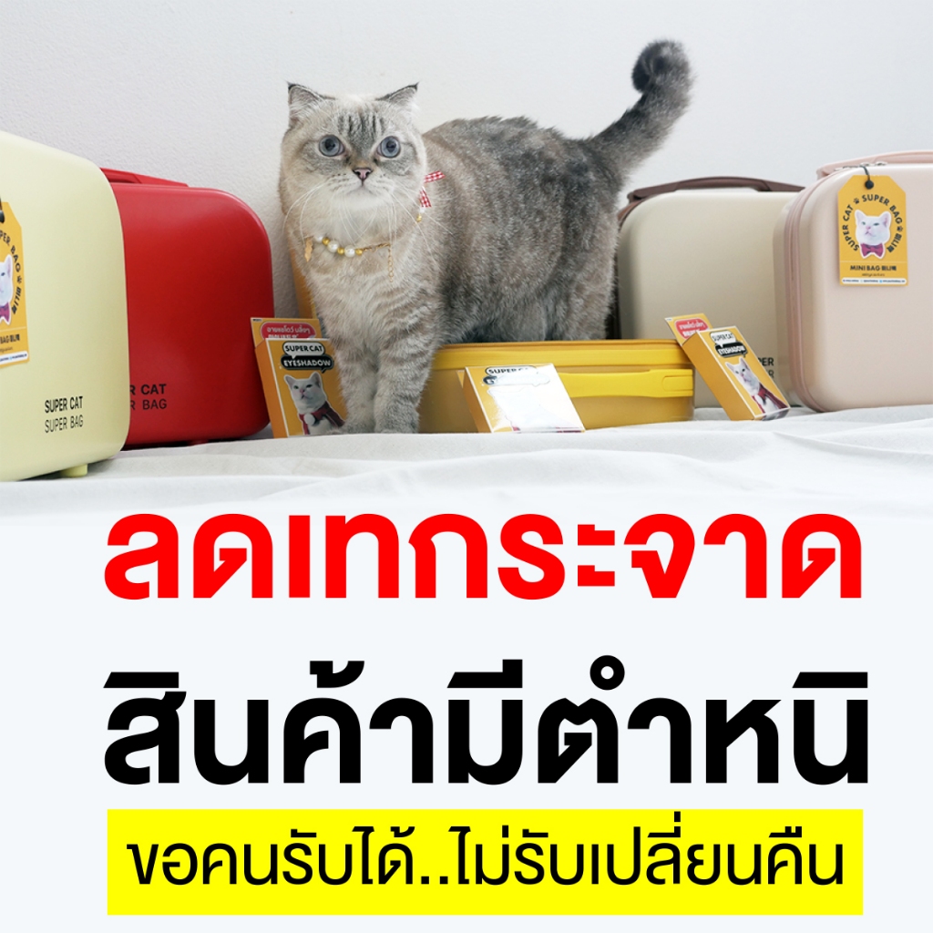 **สินค้ามีตำหนิ*** กระเป๋ามินิมอลสีพาสเทล Super Cat Super Bag Limited Edition