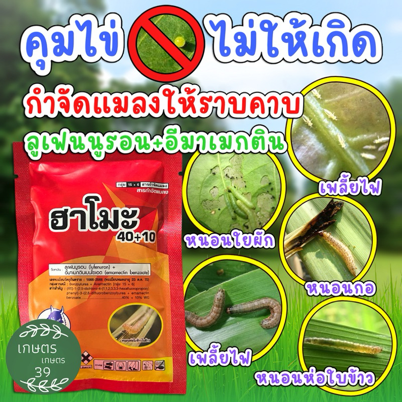 ฮาโมะ 40+10 ชื่อสามัญ : ลูเฟนนูรอน+อีมาเมกตินเบนโซเอต40%+10%WG 1ซอง 50กรัม