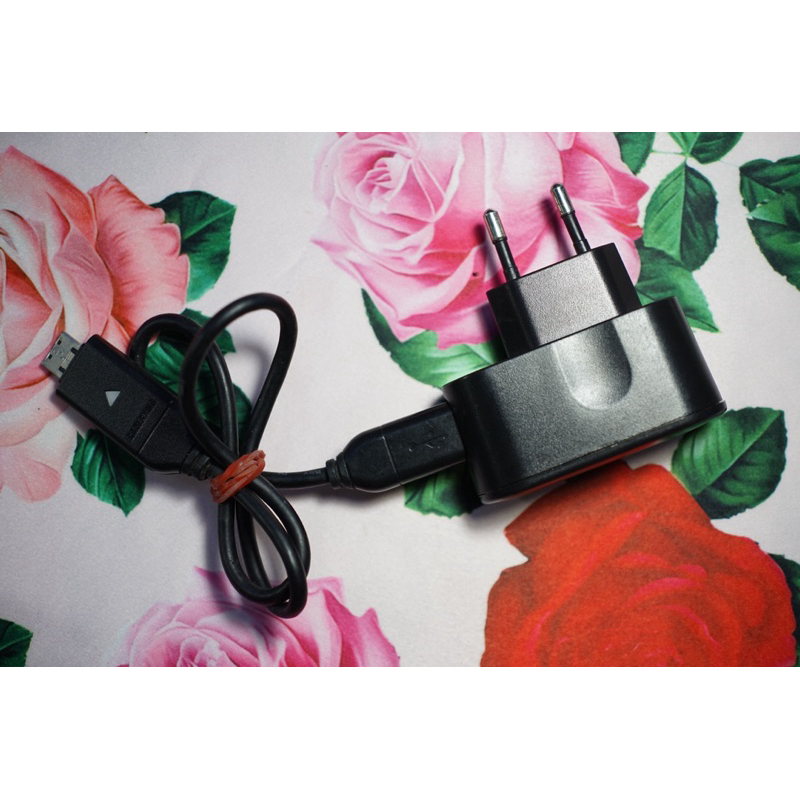 Samsung SAC-47 Travel Charger for Samsung SLB-10A Battery