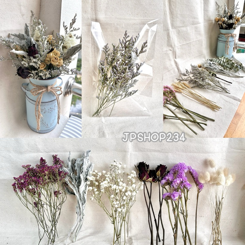 JPCraft🌻-ดอกไม้แห้งDIY🌸 ดอกไม้แห้งหลายชนิด ใช้งานได้หลายแบบ เเต่งเเจกัน การ์ด ของขวัญ(F20)