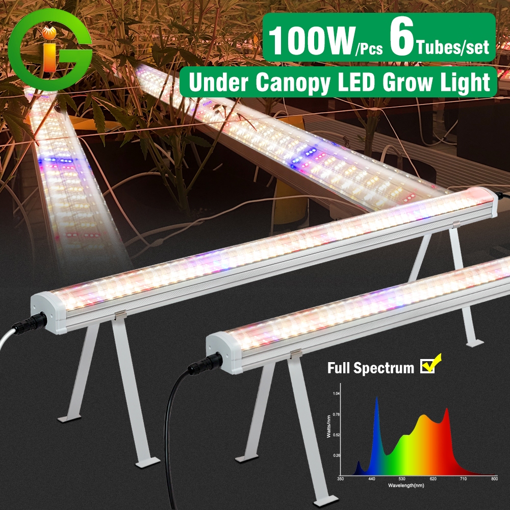 GIDEA Under canopy 100 W  ไฟใช้เพิ่มแสงด้านล่างสำหรับการปลูกแนวตั้ง ชิป UV IR  สำหรับดอก Daisy chain