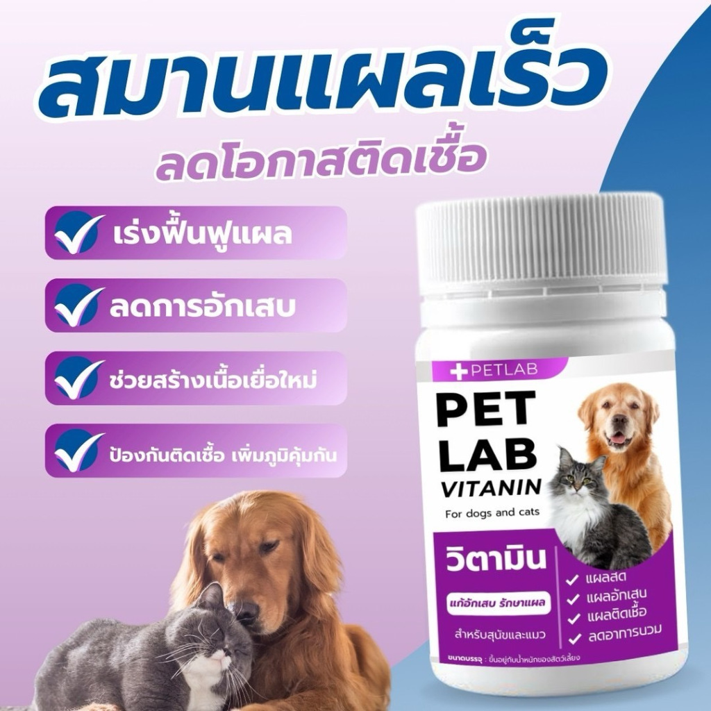 รูปภาพ 2