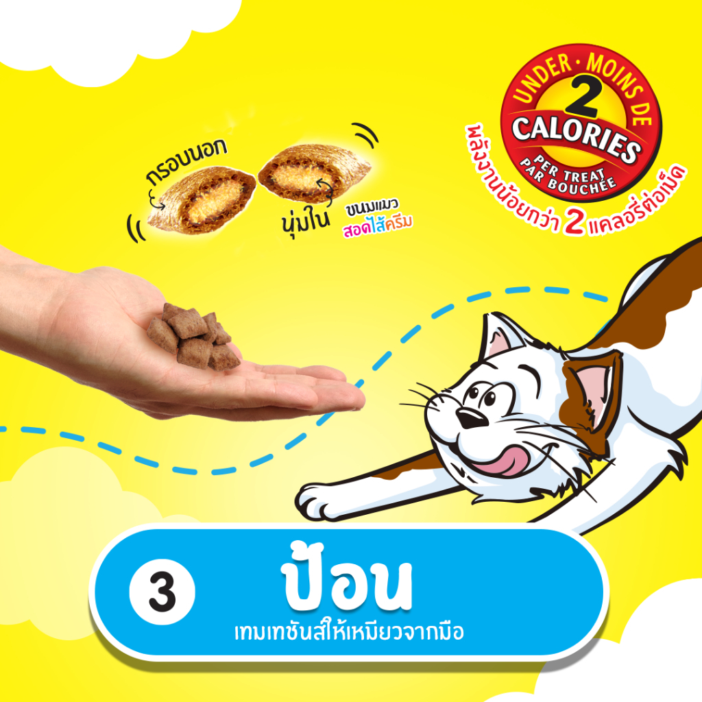 Temptation Mega Pack ขนมแมวเทมเทชั่น 160g. ทุกรสชาติ X2ถุง รูปที่ 5