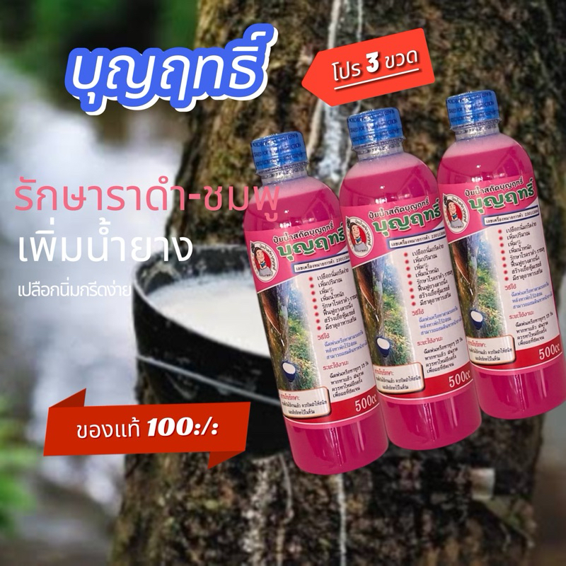 บุญฤทธิ์ 3 ขวดบุญญฤทธิ์ยาบำรุงหน้ายางปลอดสารเร่งของแท้