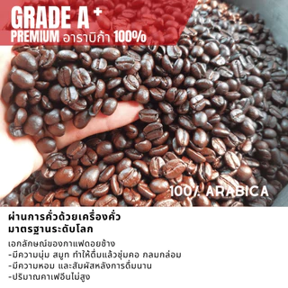 เมล็ดกาแฟดอยช้างของแท้100% พรีเมี่ยมเกรดA+ คั่วอ่อน/คั่วกลาง/คั่วเข้ม กาแฟอราบิก้า100 % บรรจุถุงซิปล็อคติดวาล์ว 250 กรัม