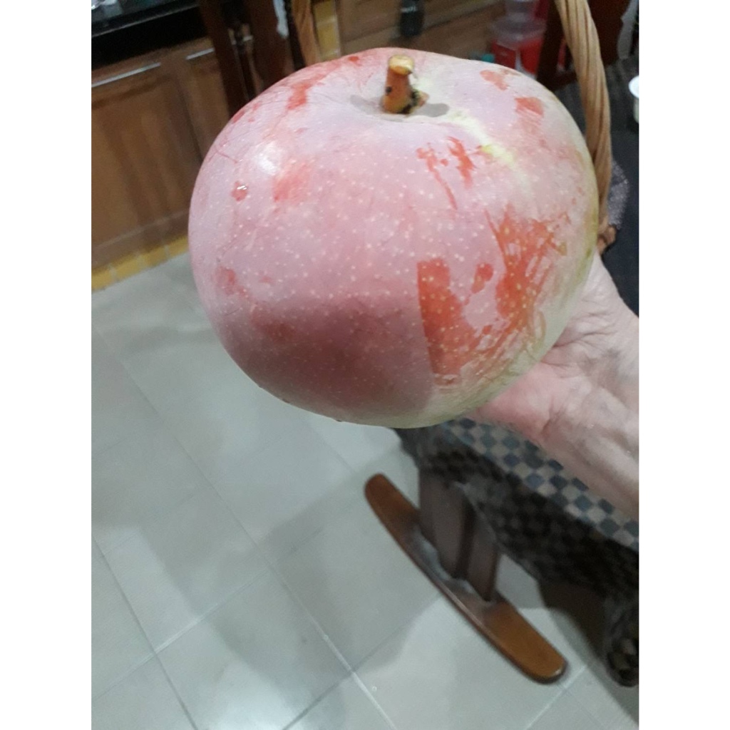 มะม่วงR2E2สดจากไร่พ่อนันฟาร์ม