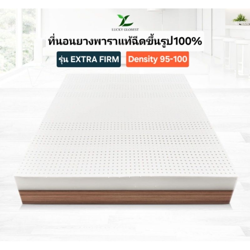 Lucky Globest ที่นอนยางพาราแท้ฉีดขึ้นรูป100% Density95-100 รุ่น EXTRA FIRM ปลอกติดซิป