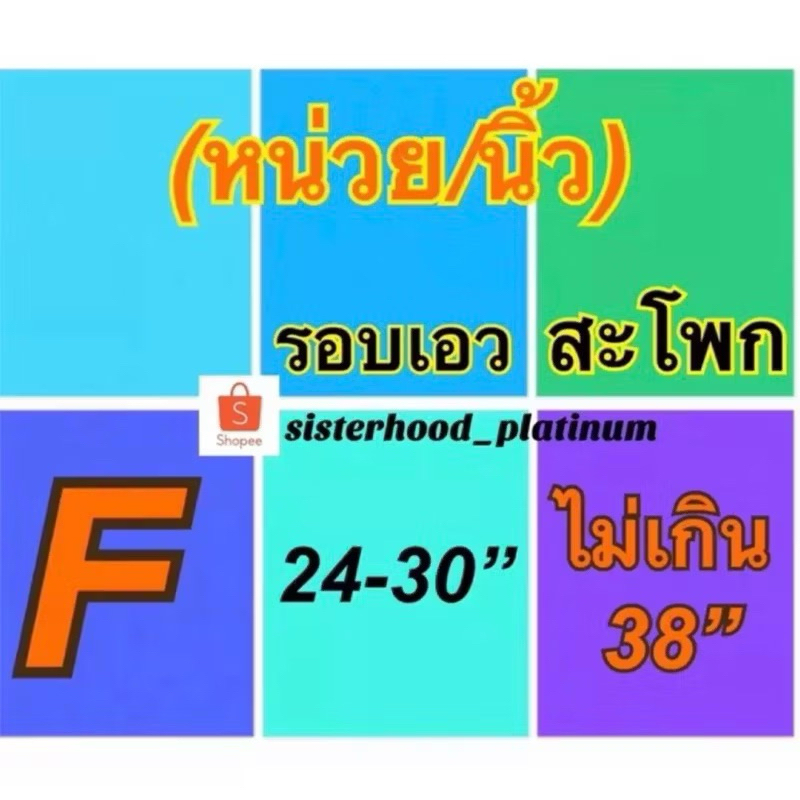 กางเกงในลูกไม้ บิกินี่ (bikini)(ผ้านิ่ม) sister hood !!จัดส่งเร็ว 1-2วัน!! ราคา ถูกที่สุด ดีลบีเคเค แกลเลอรีภาพที่ 2