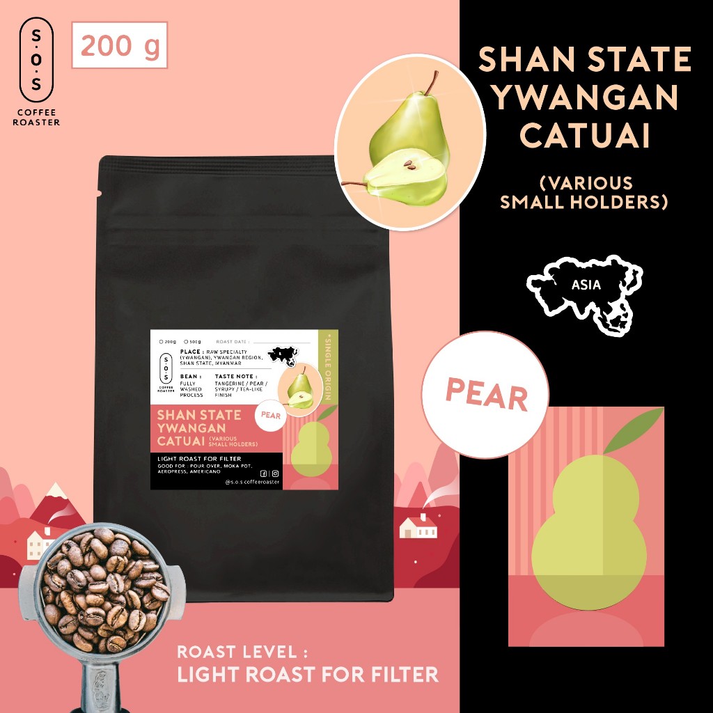 (Flash Sale รอบคั่ว 24/5/2025 ขนาด 200g) Shan State Ywangan Catuai (Various smallholders)