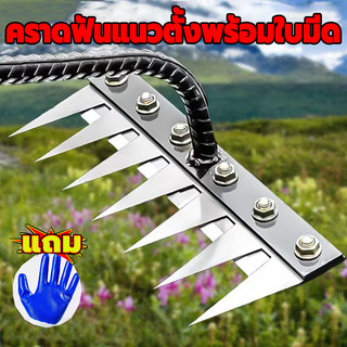 📢อุปกรณ์ทำสวนครบชุด🧑‍🌾 คราด คราดหญ้า คราดเหล็ก 7ฟัน 8ฟัน คาดหญ้าเหล็ก คราดมีด้าม ใช้ขุดดิ จอบเอนกประ อุปกรณ์ทำสวน