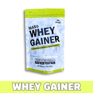 MS MASS WHEY PROTEIN GAINER แมส เวย์ โปรตีน จาก นม รส ช้อกโกแลต