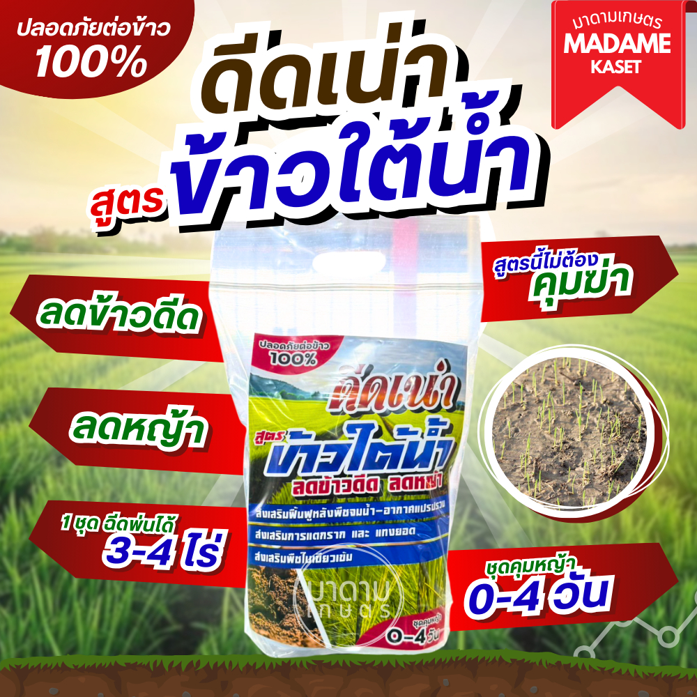 คุมเลน ชุดดีดเน่า สูตรข้าวใต้น้ำ - ลดข้าวดีด ลดหญ้า ไม่ต้องใช้คุมฆ่าหญ้า