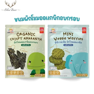 Carechoice แคร์ช้อยส์ ขนมสาหร่ายผักโขมอบกรอบ และ มินิวาฟเฟิลผักโขม สำหรับเด็ก 15 เดือน+ ขนมเด็ก ขนมขบเคี้ยว ของว่างเด็ก