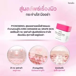 Benutra PYCNOGENOL with Ceramide + Grape Skin 1 ก. 30 เม็ด เปลือกสนฝรั่งเศส ฝ้า กระ จุดด่างดำ ผิวใส