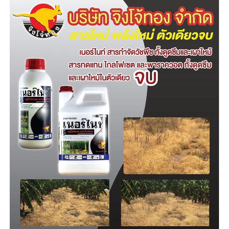เนอร์ไนท์ ขนาด 4 ลิตร กลูโฟหวีทอง กลูโฟ กลูโฟซิเนตร ยาฆ่าหญ้า สารกำจัดวัชพืช