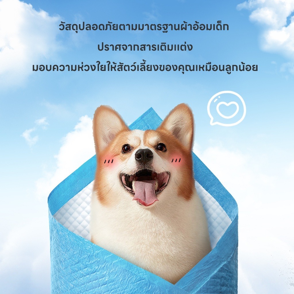 แผ่นรองฉี่ สุนัข แมว ซึมซับไดีดี ต่อต้านแบคทีเรีย แผ่นรองฉี่ ผ้ารองฉี่สุนัข แผ่นรองฉี่แมว ไม่มีการรั่วไหล - รูปที่ 4