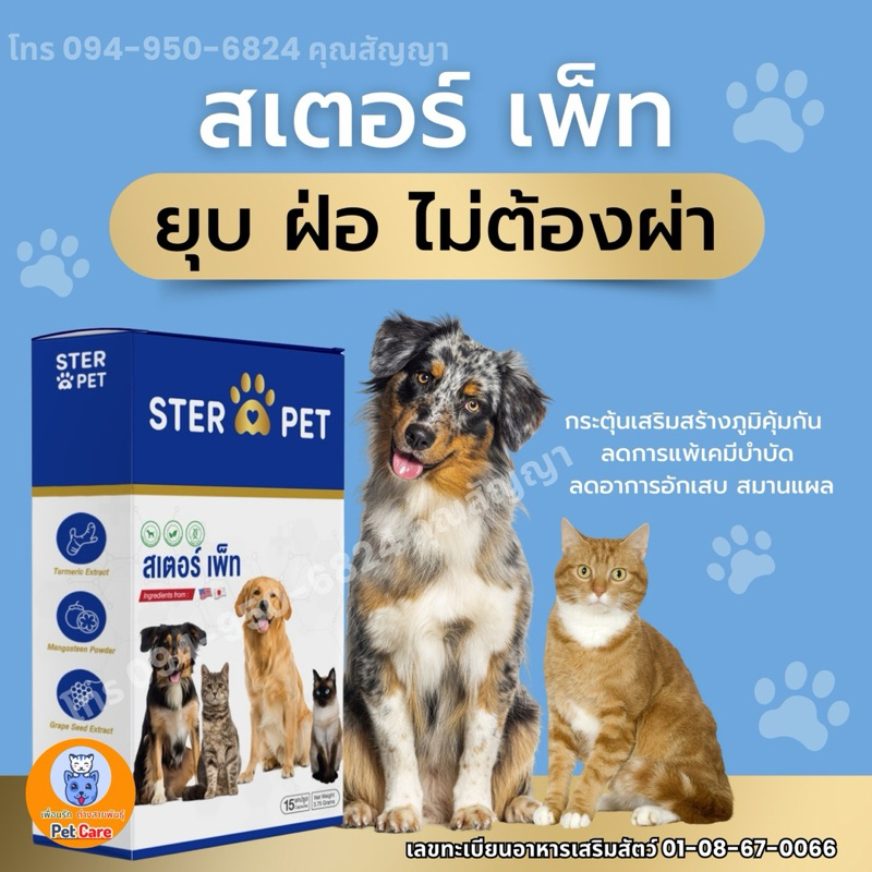Petcare2 (Ster Pet) อาหารเสริมภูมิคุ้มกัน ลดอาการอักเสบในน้องหมา แมว ป่วย ทุกสาเหตุอาการเราช่วยได้ 🐶