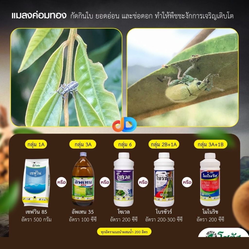 ป้องกัน -แมลงค่อมทอง -แมลงปีกแข็ง ที่กัดกินใบ ยอดอ่อน ของพืช