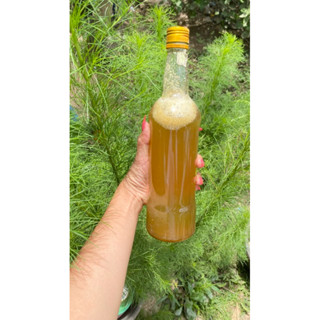 น้ำผึ้งป่า น้ำผึ้งแท้เดือน 5(ไม่มีผสม ) น้ำผึ้งธรรมชาติ100% …