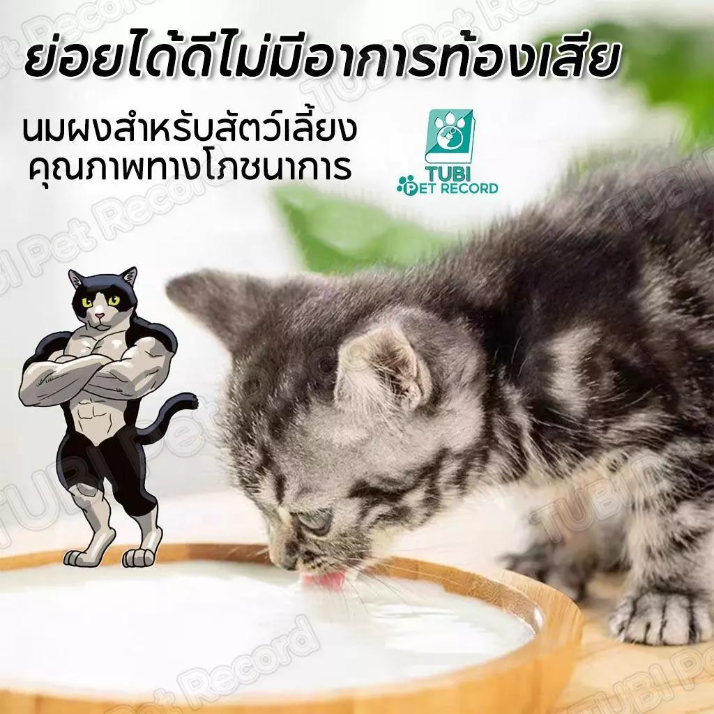 PETStar1 นมแพะผง 300g สำหรับลูกแมว-ลูกสุนัข โปรตีนสูง thumbnail 8