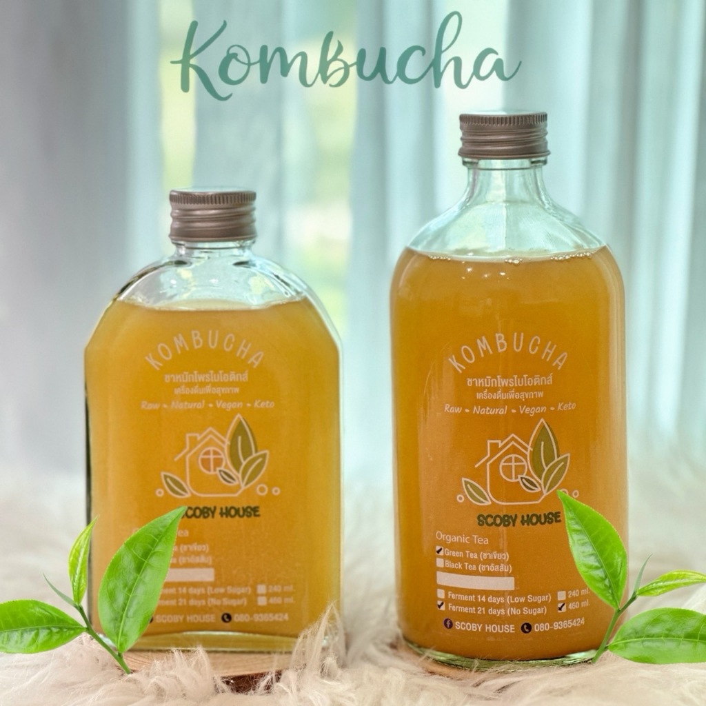 Kombucha คอมบูชา คอมบูชะ ชาหมักออร์แกนิค หวานน้อย น้ำตาลต่ำ พร้อมดื่มในขวดแก้ว หลายรสชาติ Keto Vegan