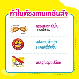 Temptation Mega Pack ขนมแมวเทมเทชั่น 160g. ทุกรสชาติ X3ถุง