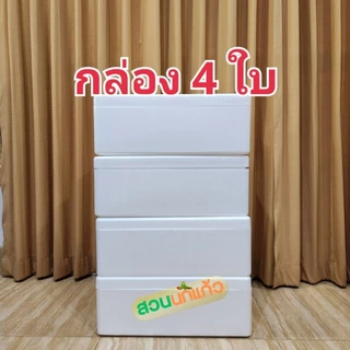 กล่องโฟม ลังโฟม ปลูกผักไฮโดรโปนิกส์ กล่องกุ้ง 10กก.*4ใบ*