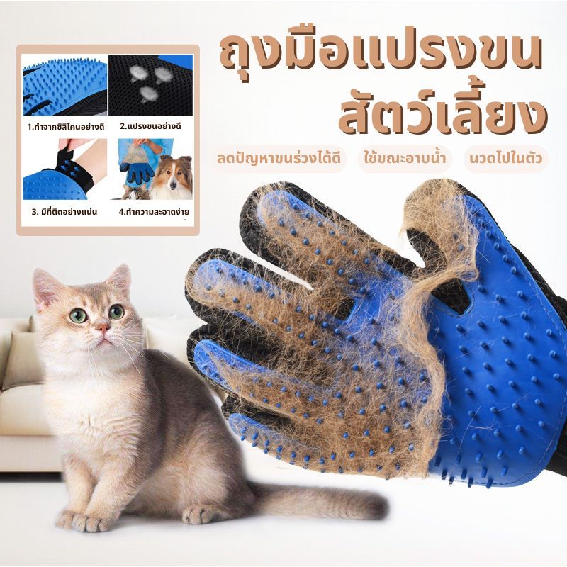 ถุงมือแปรงขนสัตว์เลี้ยง ถุงมือแปรงขนแมว แปรงขนสุนัข กำจัดขนลอย ไม่ทำร้ายผิวสัตว์เลี้ยง ถุงมือสัตว์เลี้ยง