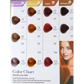 เลคทูร่า LECTURA  สีย้อมผม