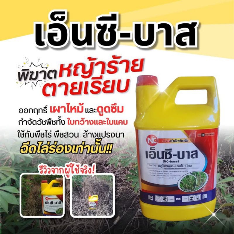 เอ็นซี-บาส กลูโฟซิเนต-แอโมเนียม สารกำจัดวัชพืชใบกว้างใบแคบ ชนิดดูดซึม+เผาไหม้ ขนาด 4 ลิตรใช้ในไร่อ้อยไร่มันสำปะหลัง