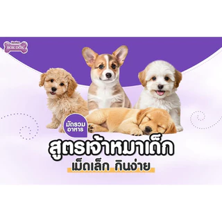[สูตรลูกสุนัข] Bokdok บ๊อกด๊อก อาหารลูกสุนัขและสุนัขพันธุ์เล็ก ขนาด 1 kg