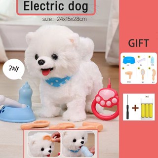 ตุ๊กตาสัตว์เลี้ยงน้องหมา น้องแมวพูดได้ เดินได้ อ้อนได้ พร้อม…