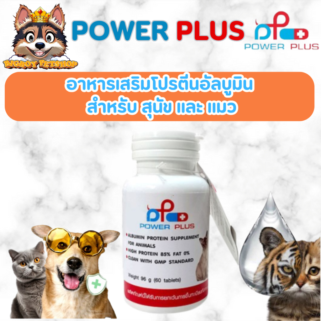 Power Plus: Pure Albumin [ของแท้] อาหารเสริมโปรตีนอัลบูมิน สกัดจากไข่ขาวเข้มข้น รูปแบบเม็ด สำหรับสุน