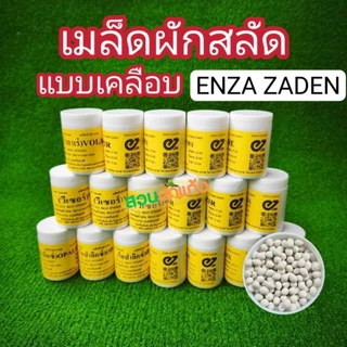 เมล็ดพันธุ์ผักสลัด ชนิดเคลือบ ENZA ZADEN แบ่งบรรจุ 100 เมล็ด