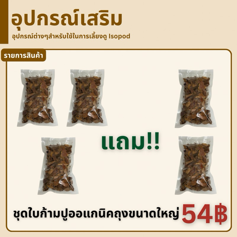 ใบก้ามปูออร์แกนิค สำหรับเลี้ยงสัตว์ คุ้มๆ🍂