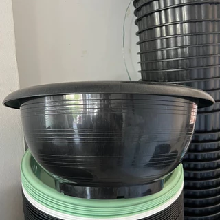 อ่างบัว กระถางชวนชม กระถางบัว อ่างพลาสติก ขนาด 12" 16" 18" 20"