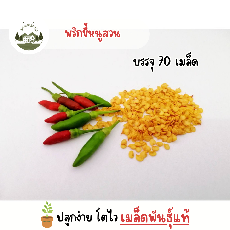 เมล็ดพริกขี้หนูสวน 70 เมล็ด