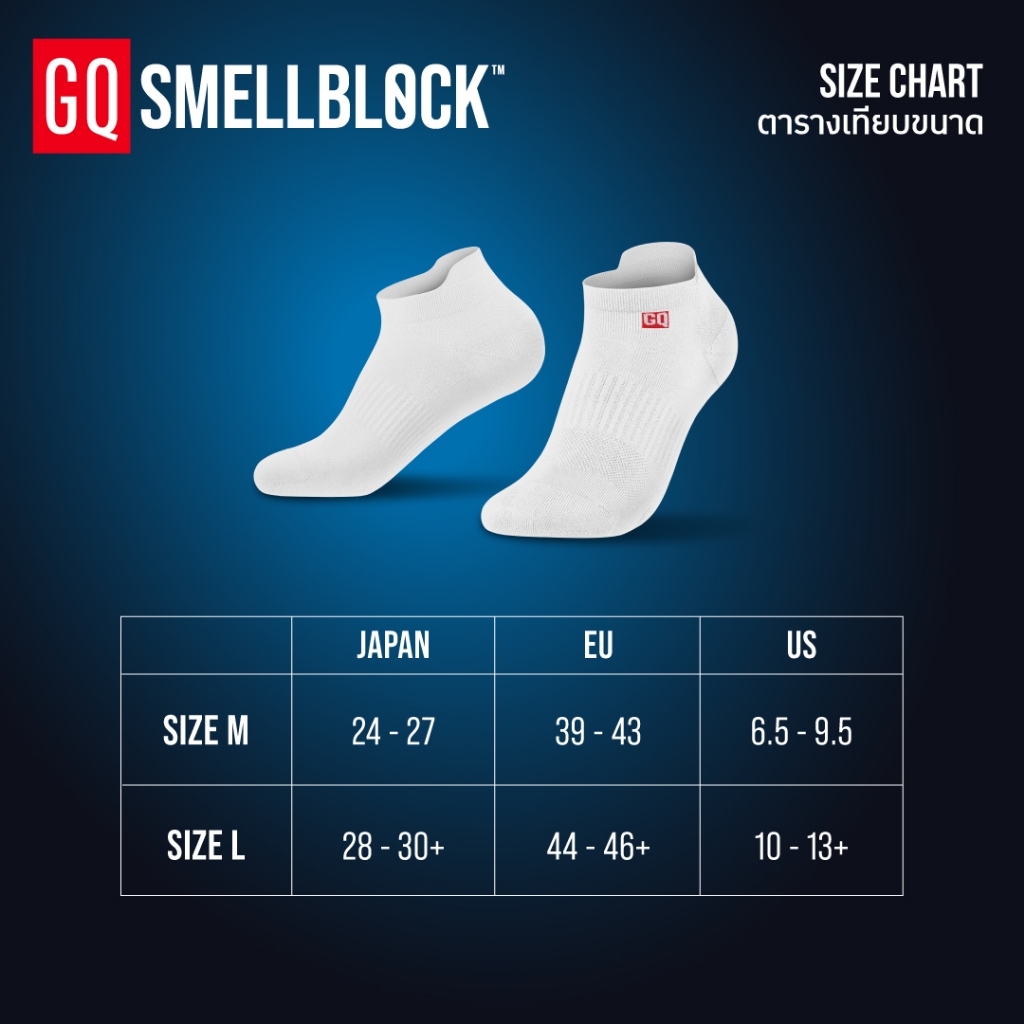 รูปภาพ 9