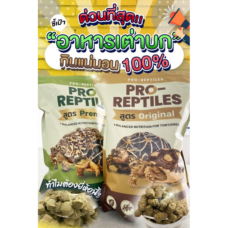 อาหารเต่าทุกสายพันธุ์ เต่าบก 300g-1kg🐢🐢