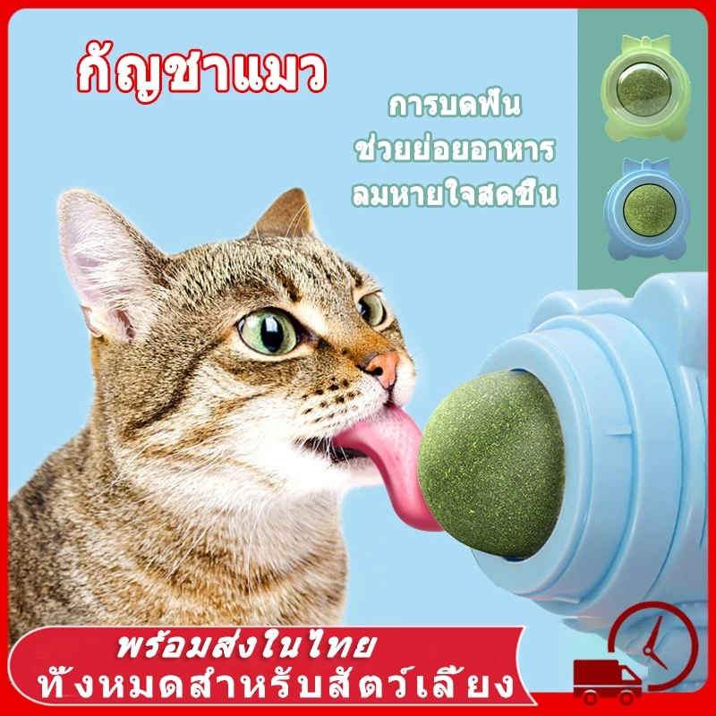แมวเลีย 😻 หญ้าแมว กันชาแมว กัญชาเเมว แคทนิปแมว catnip ball กันชาแมวส่งฟรี กัชชาแมว กันชาแมวเลีย แคทนิปบอล ติดกำแพง แมว