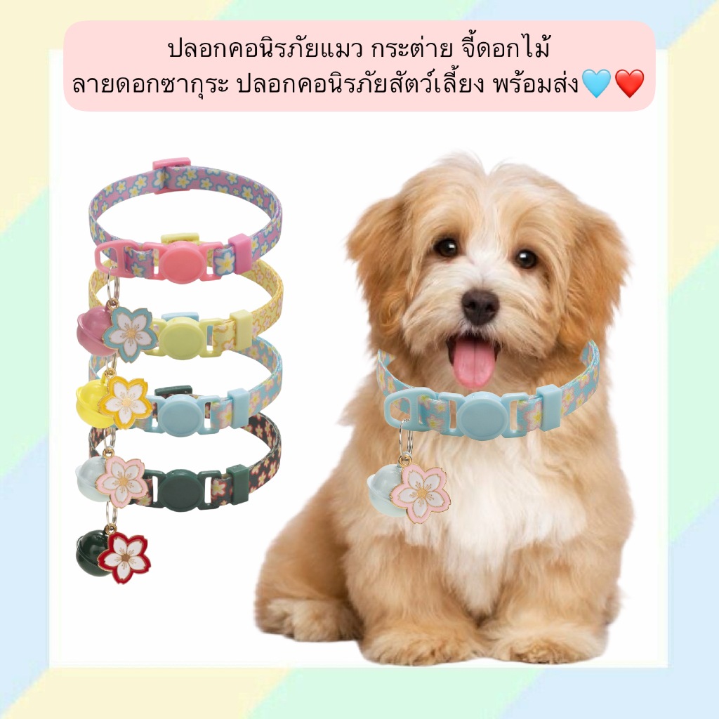 AL-554 ปลอกคอนิรภัยแมว กระต่าย จี้ดอกไม้ ลายดอกซากุระ ปลอกคอนิรภัยสัตว์เลี้ยง พร้อมส่ง❤️