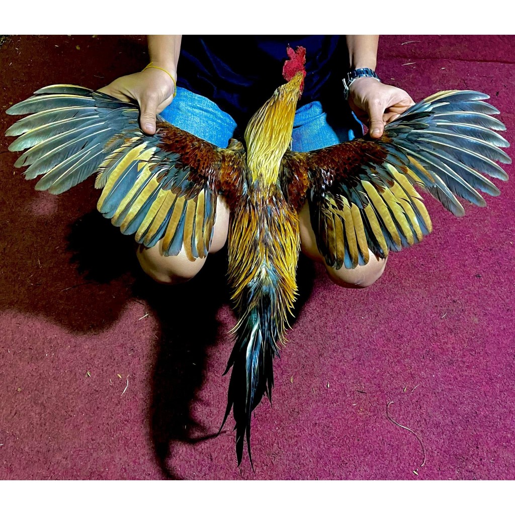 รูปภาพ 3