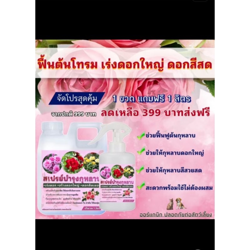 สเปรย์บำรุงกุหลาบ 1 ลิตรแถม 1 ลิตร ส่งไวมาก