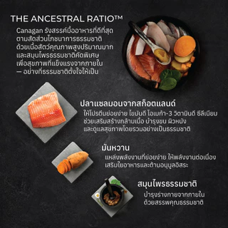Canagan คานาแกน อาหารแมว สูตร ปลา สคอททิชแซลมอน ขนาด 375 กรัม