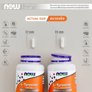 แอลไทโรซีน | L-Tyrosine 500 MG [120 Capsules] by NOW FOODS | Authentic Made in USA