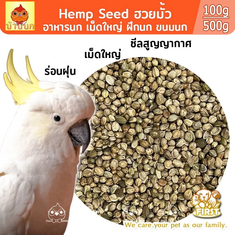 เมล็ดฮวยมั้ว Hemp Seed (เม็ดใหญ่) อาหารนก ฮัวยมั้ว 100g/500g ขนมนก อาหารนก ฝึกนก